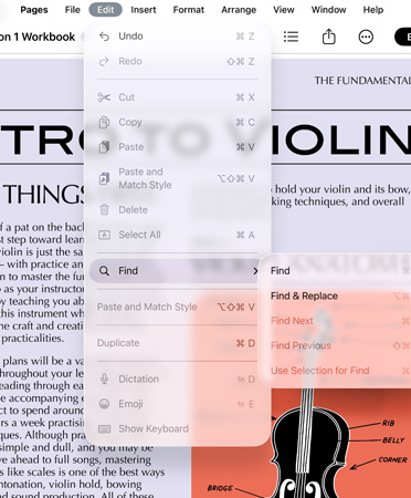 Close up of menu bar with options for Undo, Redo, Cut, Copy, Paste and more