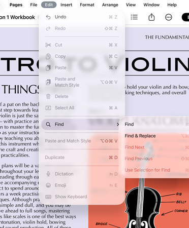 Close up of menu bar with options for Undo, Redo, Cut, Copy, Paste and more