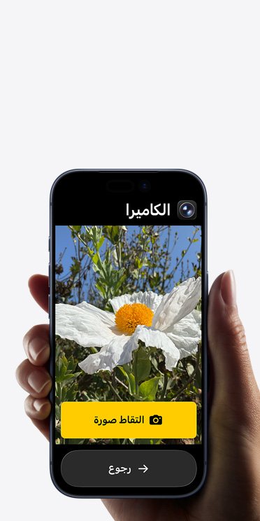 شاشة iPhone&nbsp;17&nbsp;Pro تعرض واجهة مبسطة لتطبيق الكاميرا مع زهرة بيضاء في الإطار، وزر 