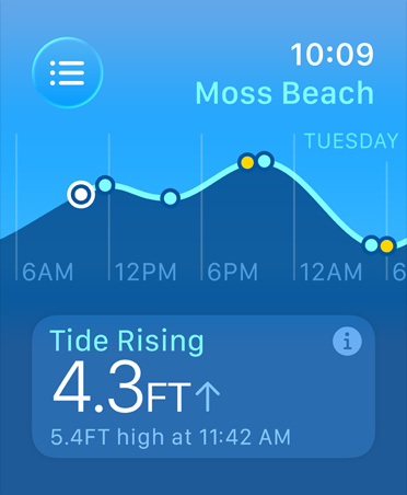 Tides app, metrics: high and low tides, rising and falling tides, line graph estimating times and tide points