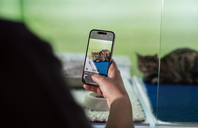 Le personnel infirmier utilise iPhone pour envoyer régulièrement des photos des animaux – un bon moyen de rassurer leurs propriétaires.