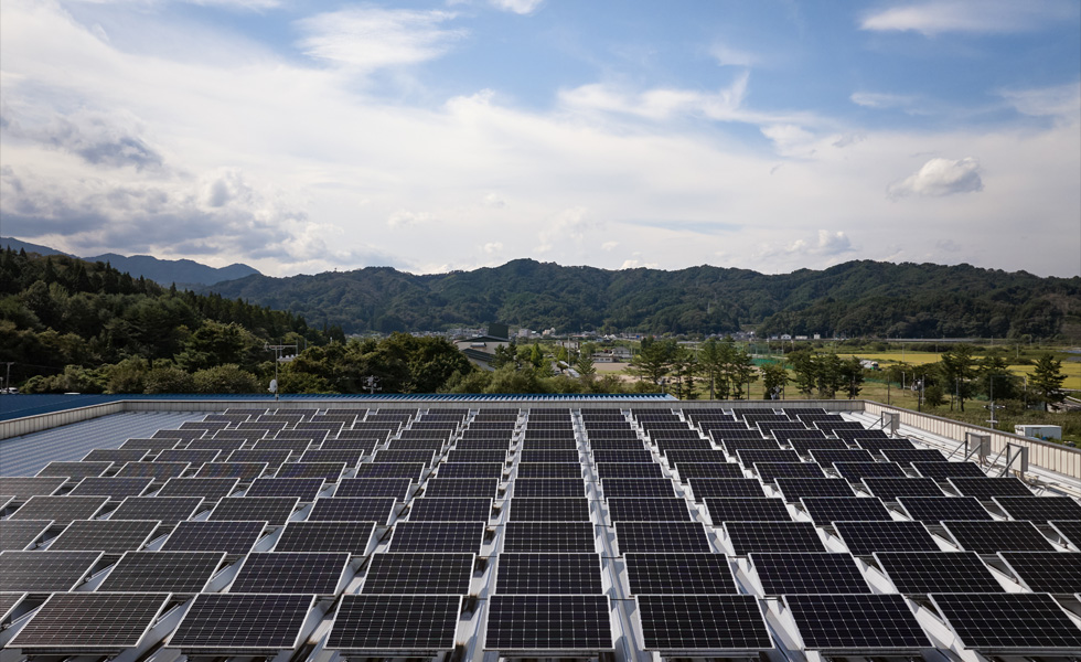 Solar panels align a facility rooftop in rows